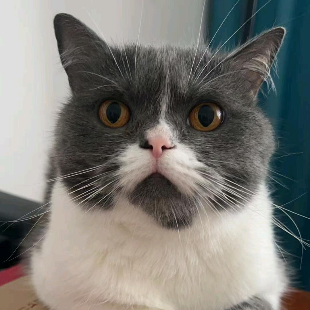 福宝