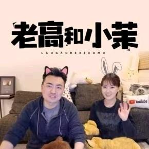 老高与小茉 持续更新