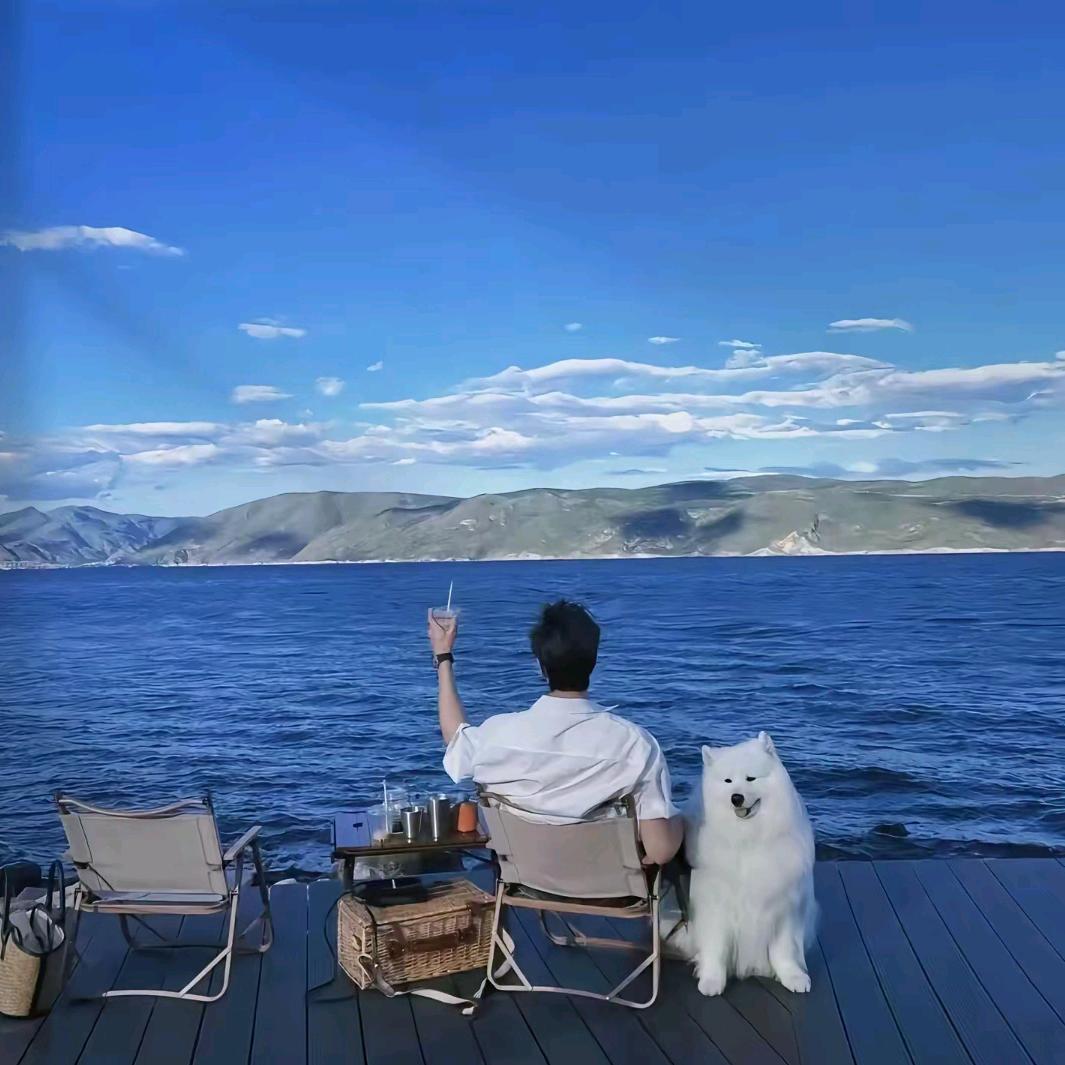 流年 ·七哥