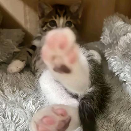 那晚我🐍的很高只为遮住眼角的泪