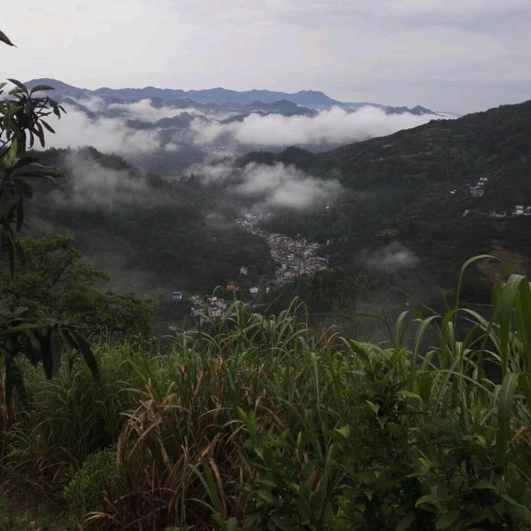 俺是农村人
