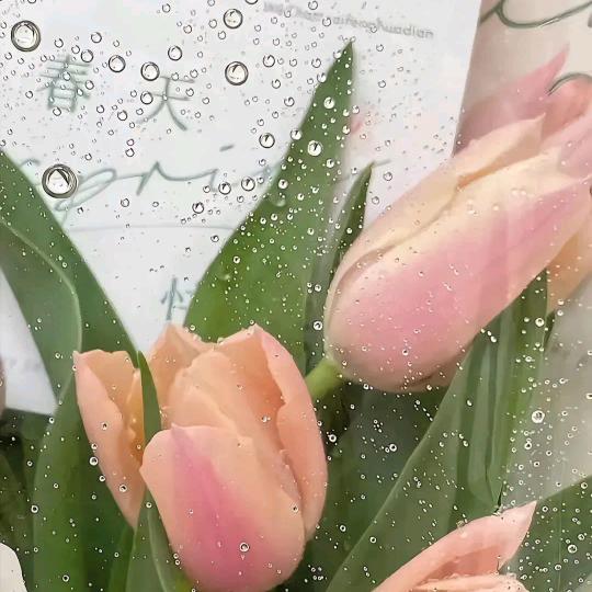 阿依古丽🌴🌹