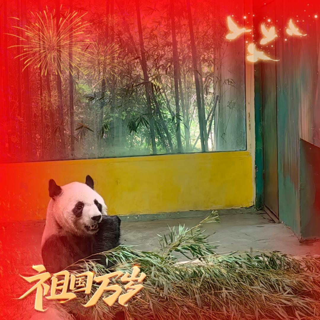 🐲演绎幸福🐲