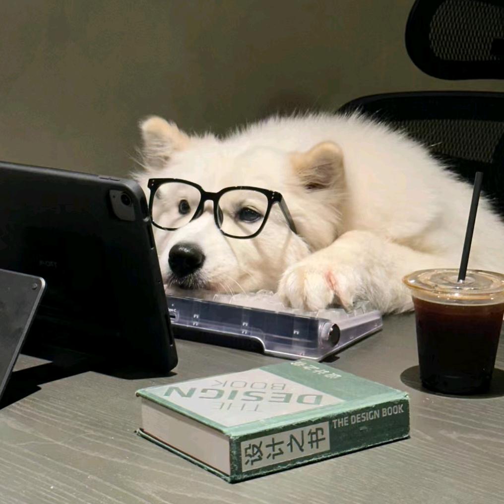 🌈我要发财🌈！！！