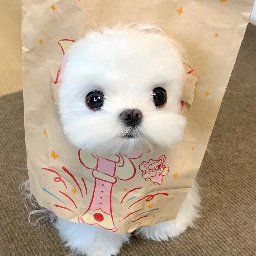骨头汤
