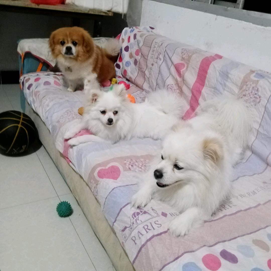 一生一世我爱你🍒🍒🍉🍉