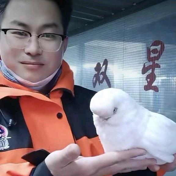 双星繁育中心CEO