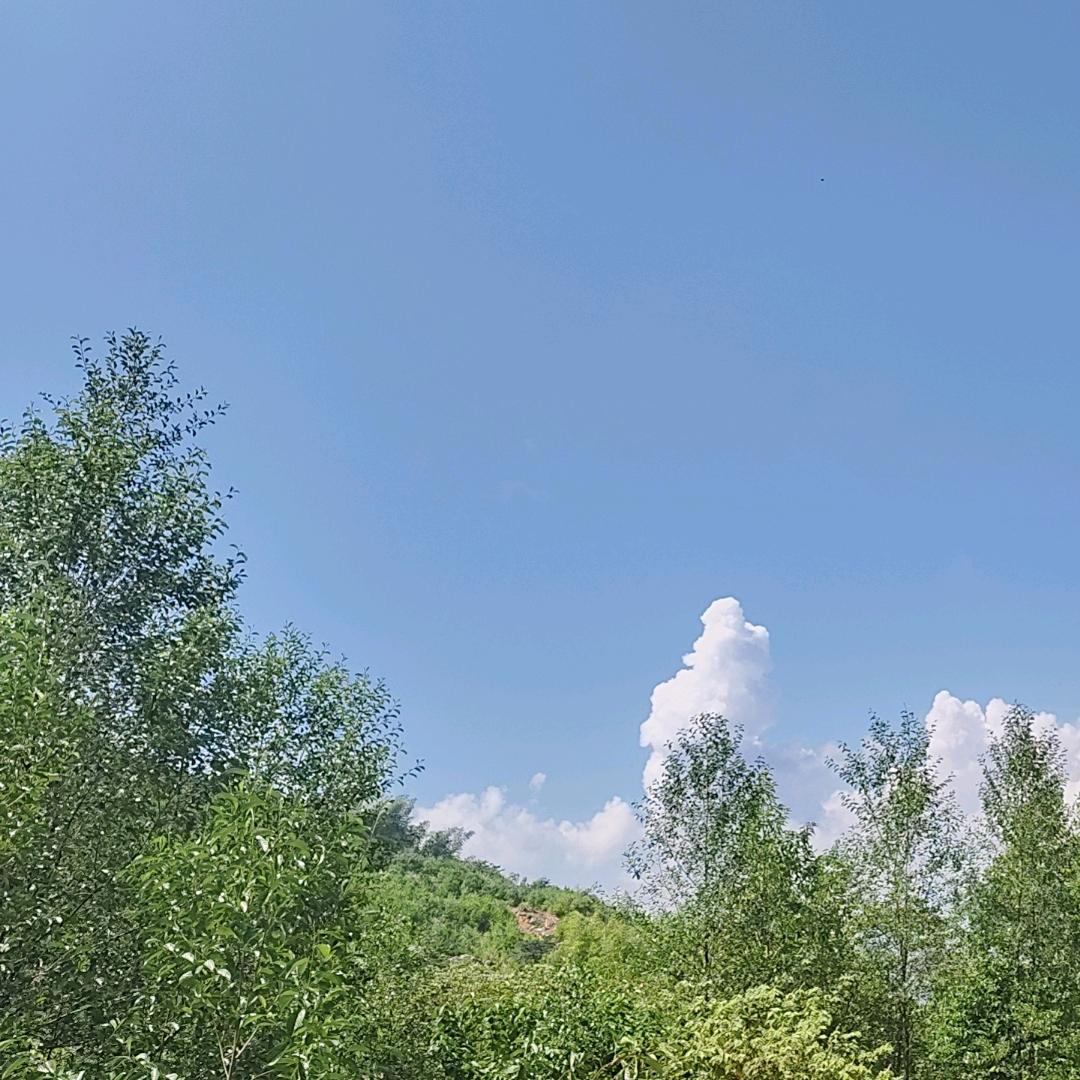 但行好事，莫问前程。