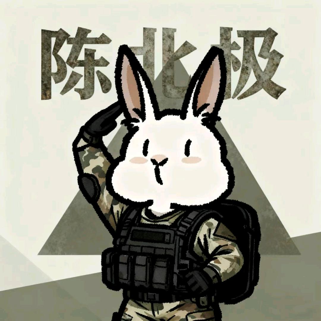 陈北极三角洲行动