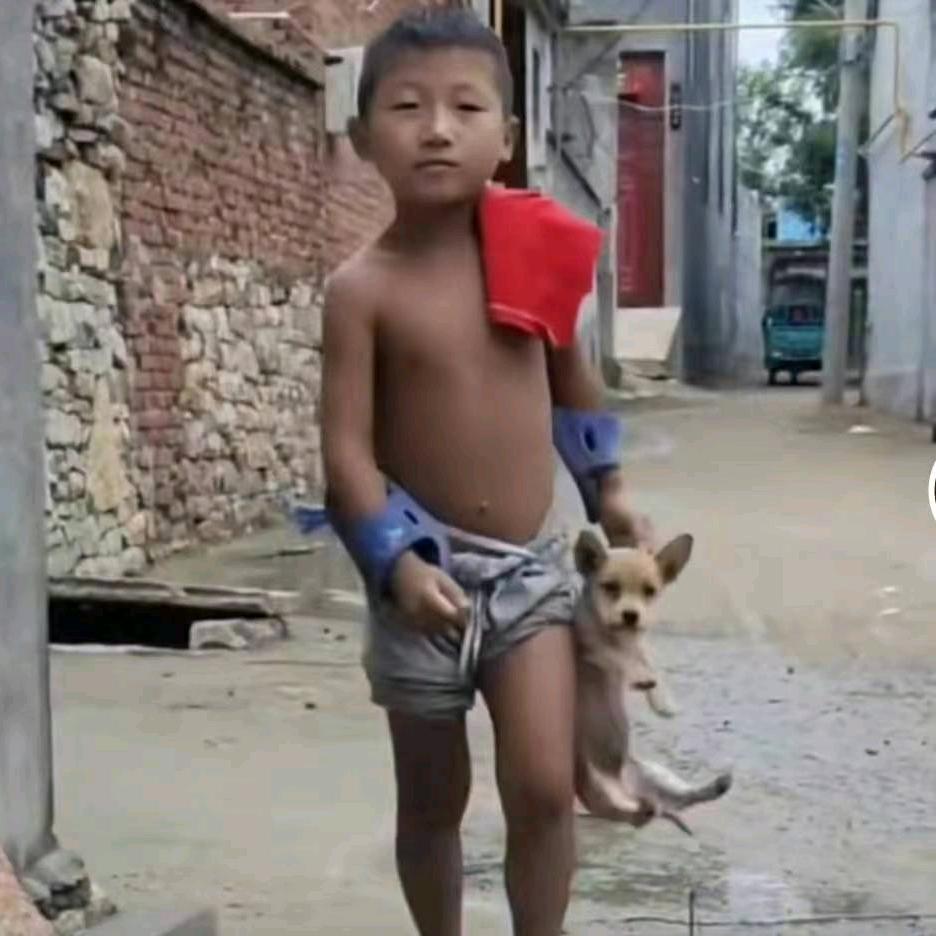 笨小孩