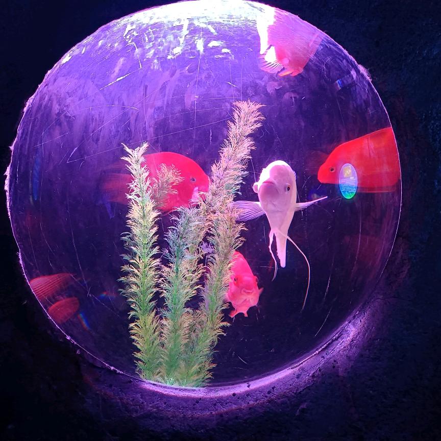 一辈子开开心心❤️过每一天