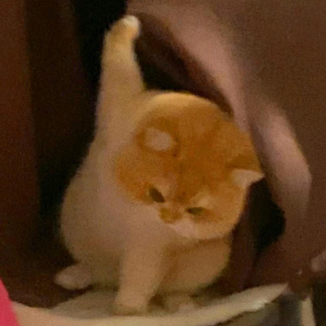 貊貊兮