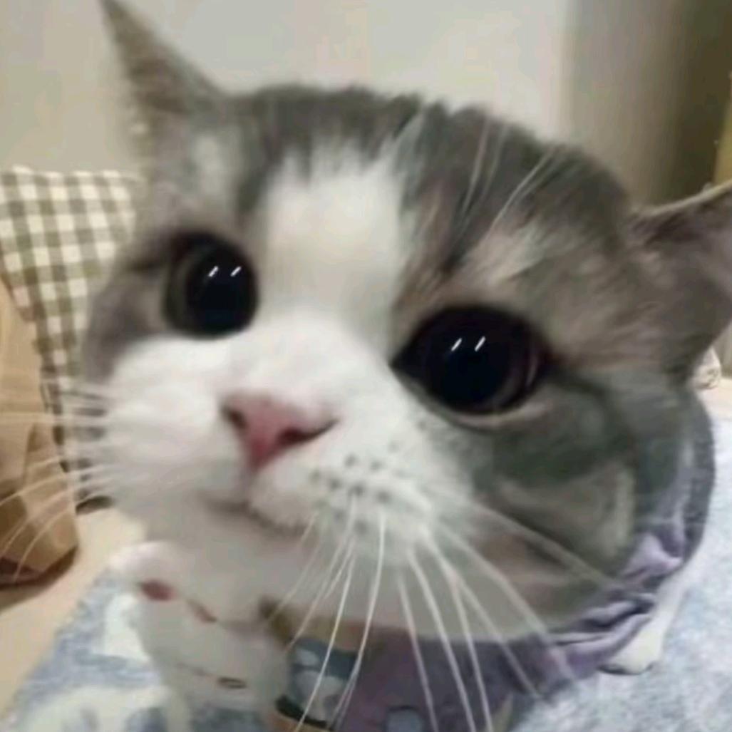 檀棉花