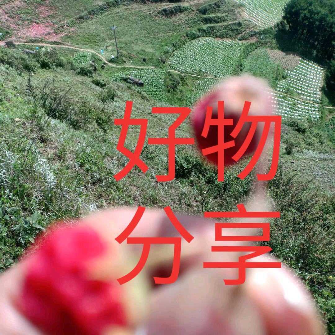 小孔好物
