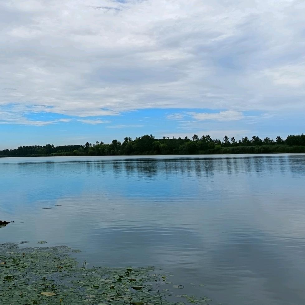风吹哪页读哪页