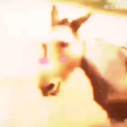 ── 展开728条回复 ⌵