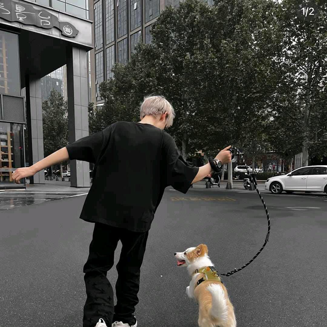 是罐装可乐