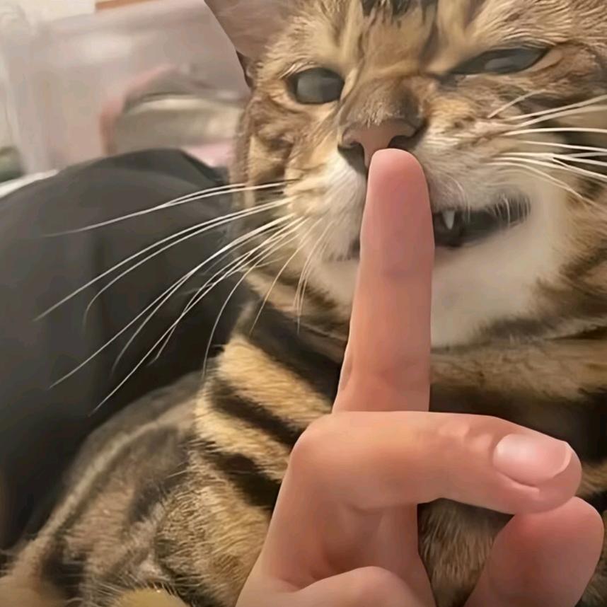 阿贡