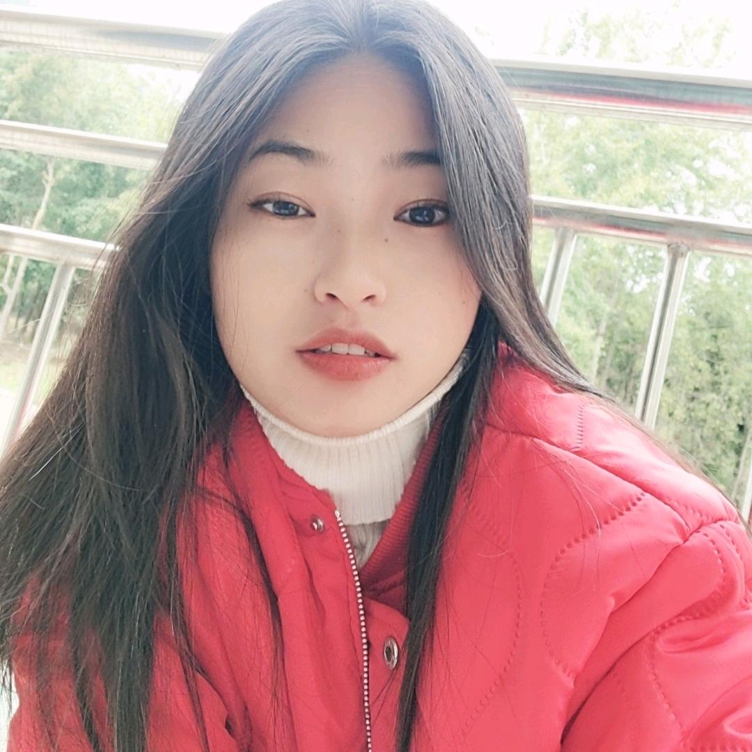 赵莲莲的备忘录
