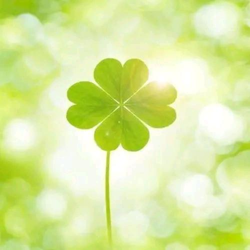 愿余生平安喜乐