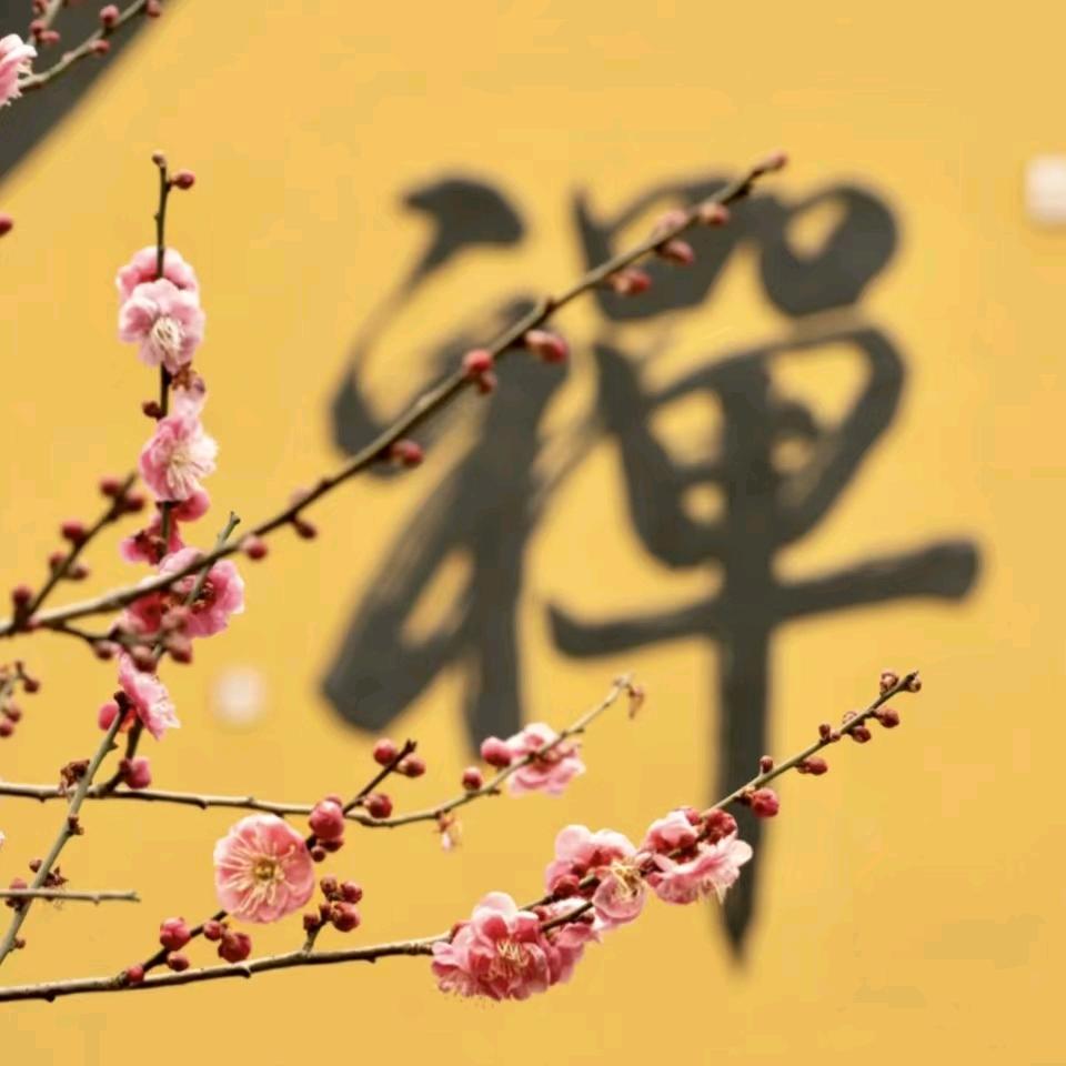 大同禅心