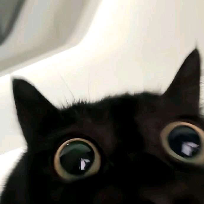 卷儿