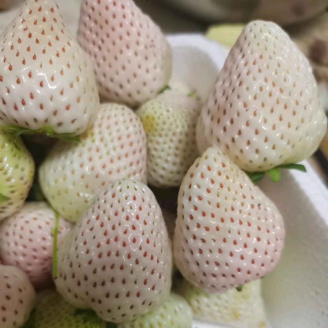 淼妈