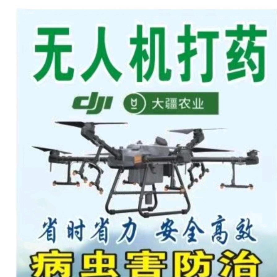 昭平镇无人机飞防吊运