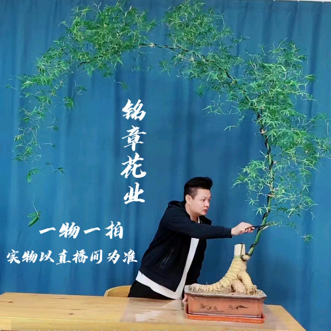 铭章花业