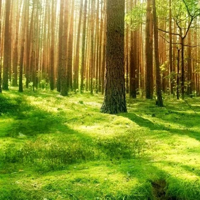 变频哥老韩助理