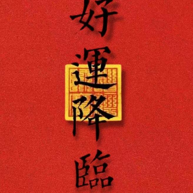 出彩人生