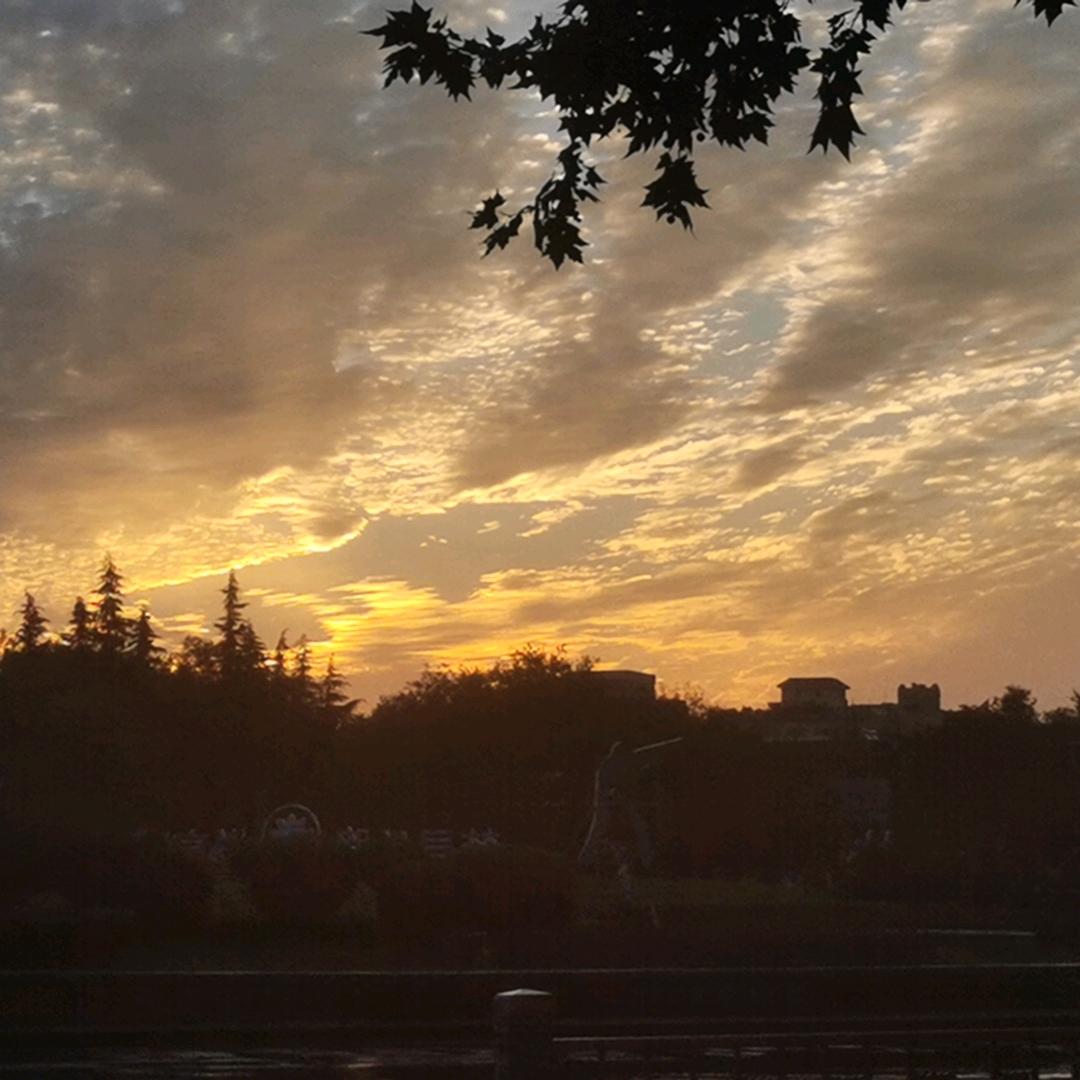 时来运转
