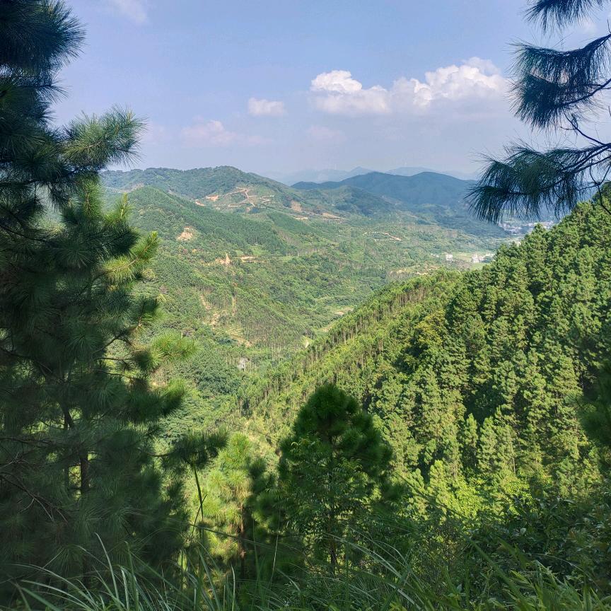 条路宁