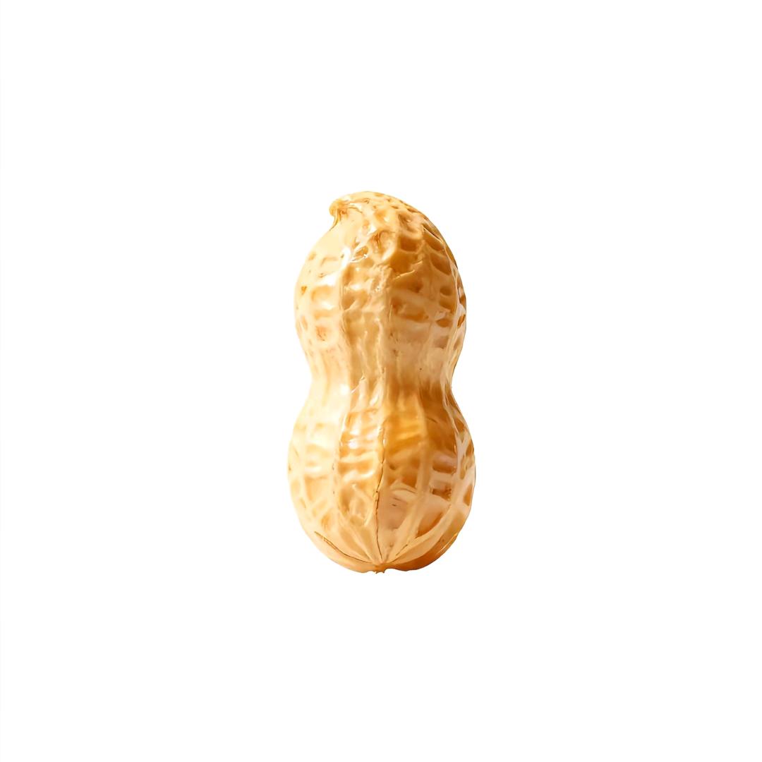 夏浩楠：