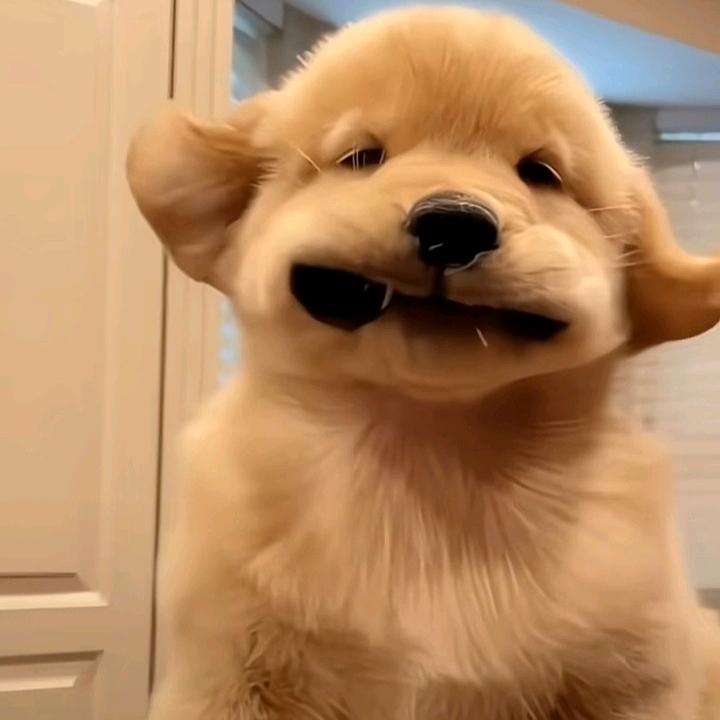 就是说💙🤍👌🍫