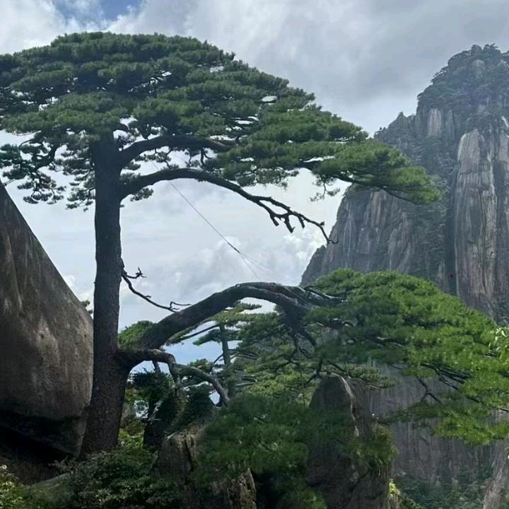 一生只爱你一人