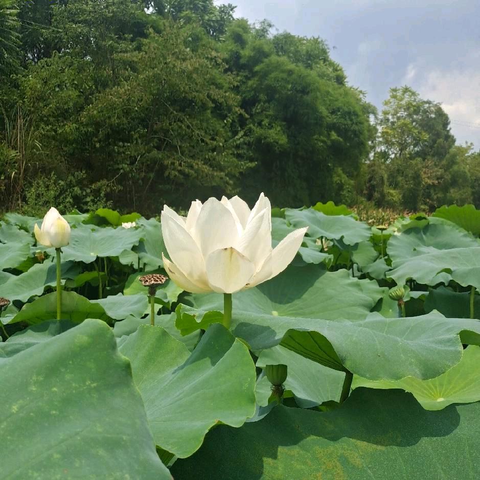 有了您才幸福