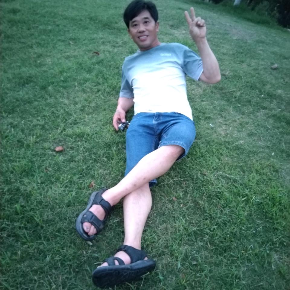 满天飞