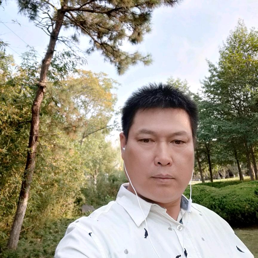 彩雲追月