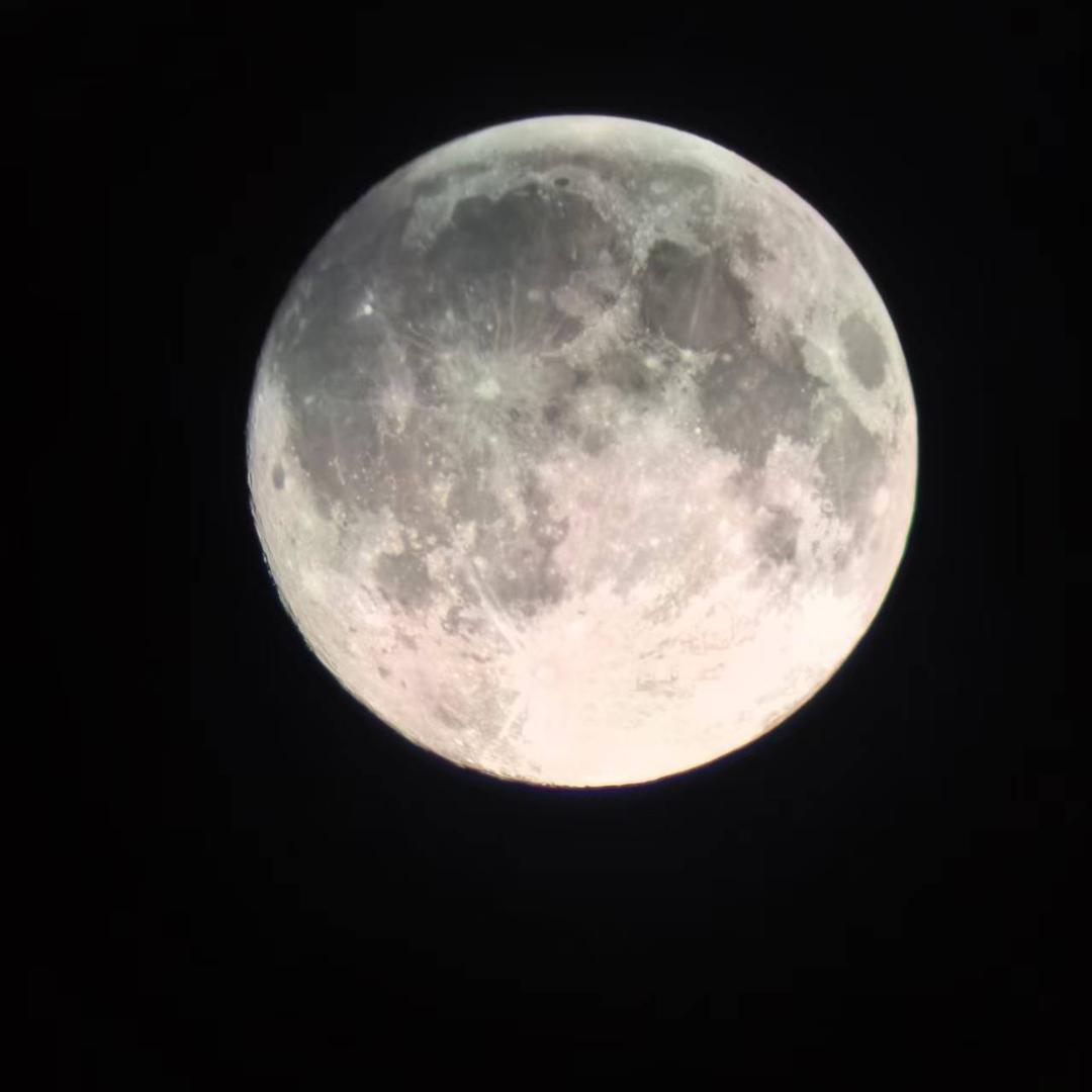 张张的前夫一号