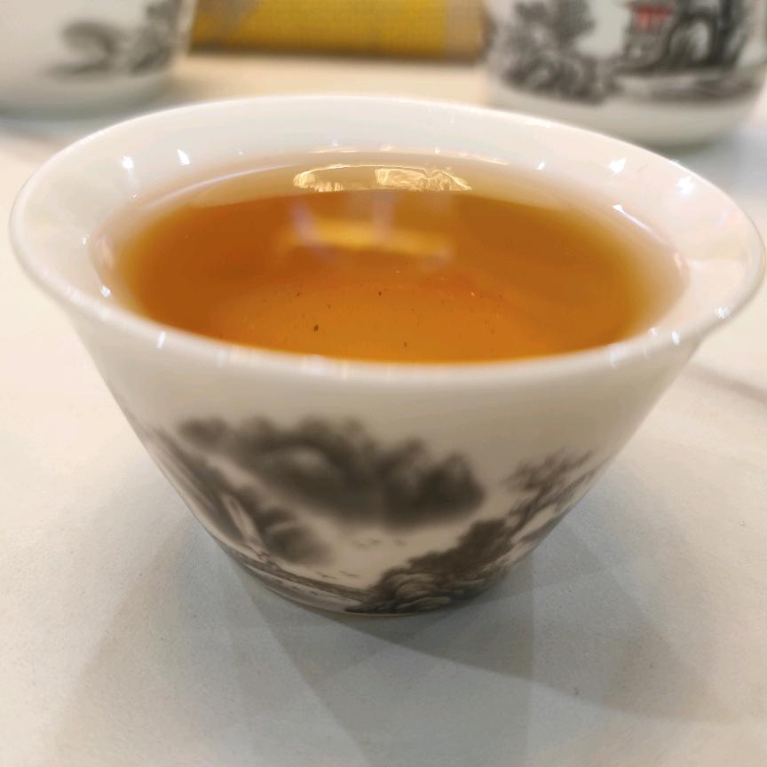 边城小表弟(龟宠养殖分享)