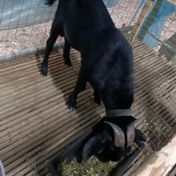 小不点论坛欢迎您