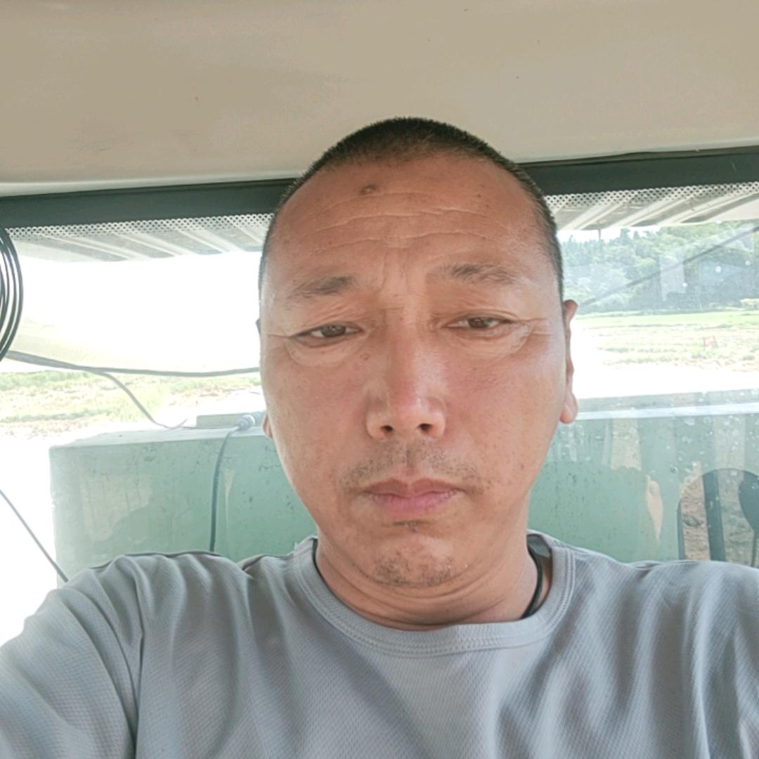 快乐的老马