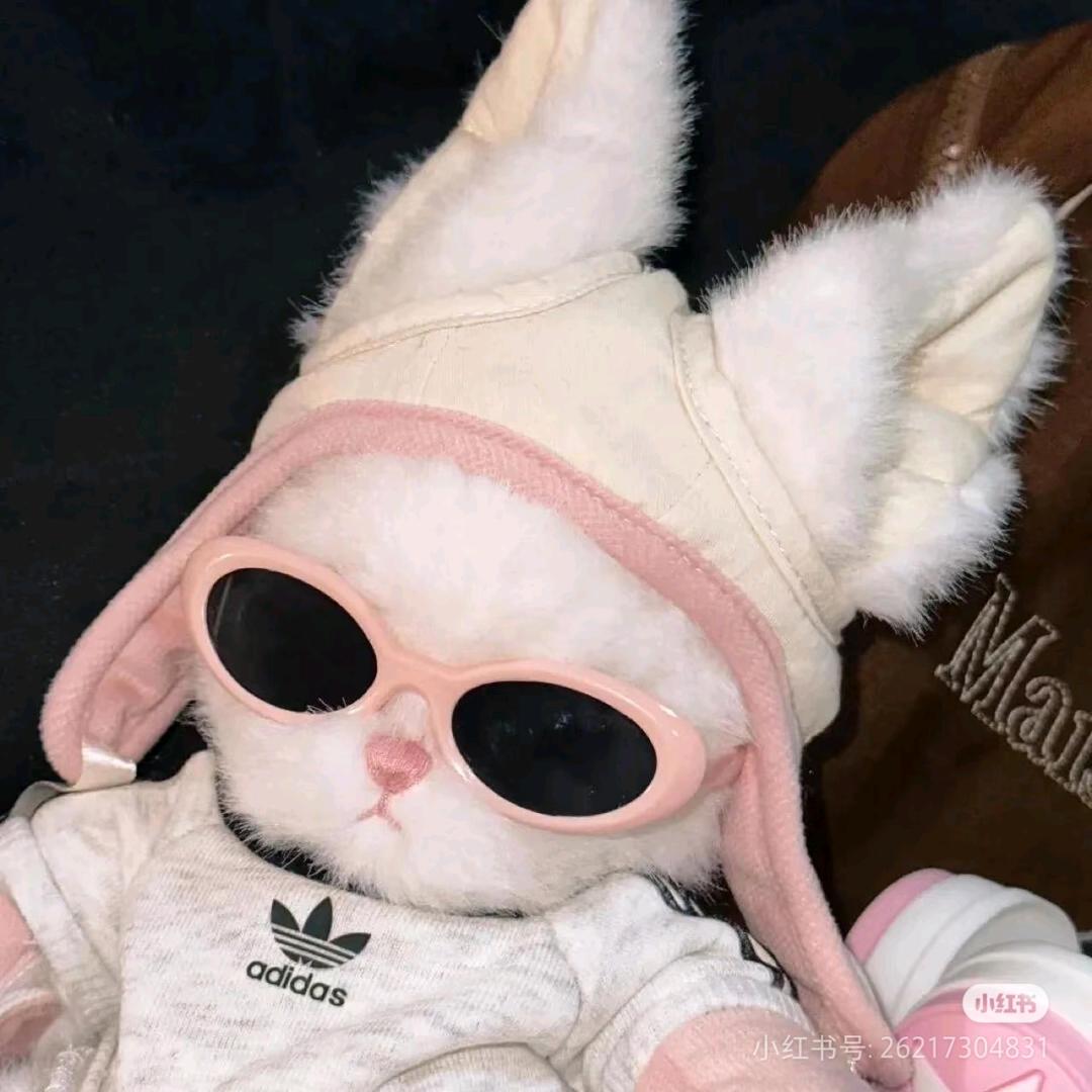 无趣的养乐多🧋