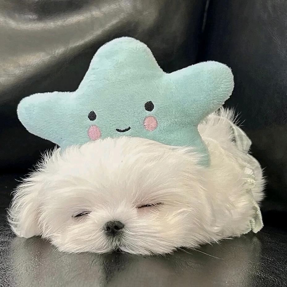 ￴  ￴￴￴ ￴￴