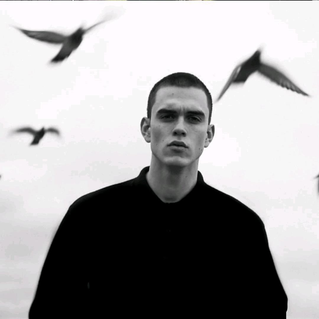 杨某