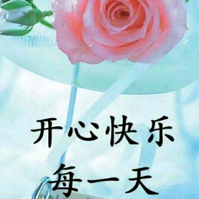 同心圆