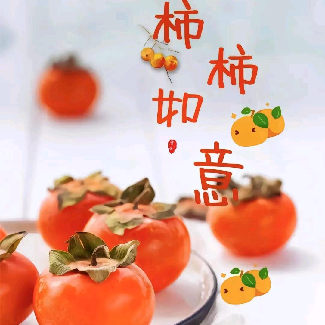 宝贝小猪
