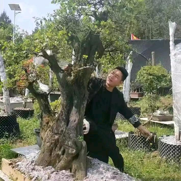 景遇缘（互动）