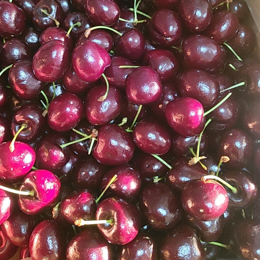 暖暖的阳光（彬彬力量塑形）